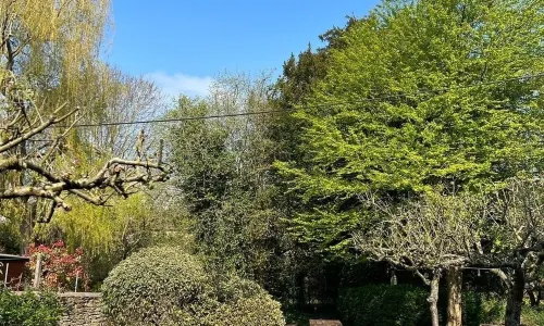 Sign of the Angel