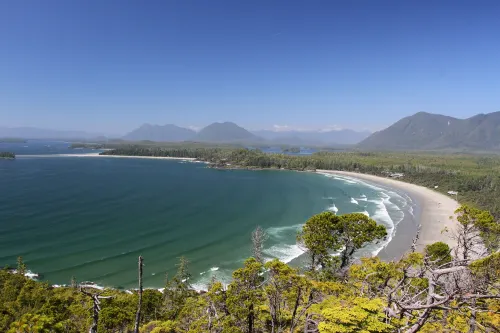 Black Bear Guesthouse Hotels in Tofino