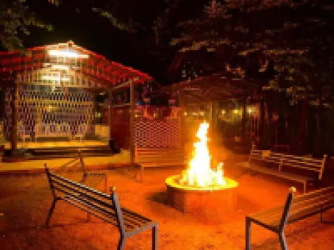 ダンデリ ブティック ジャングル リゾート ダンデリのホテル