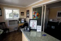 Blue Pine Motel Hotels in Panguitch
