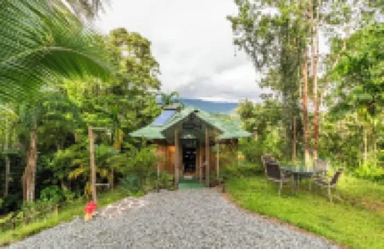 Junglebungalow Hotels in 