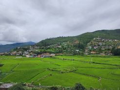 Green Valley Boutique