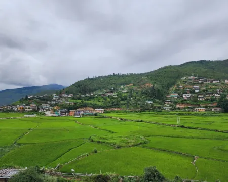 Green Valley Boutique Hotels in Paro