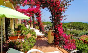 Domus de Janas Sul Mare