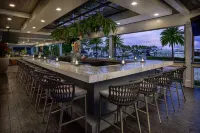 Faro Blanco Resort & Yacht Club Marathon, Curio by Hilton