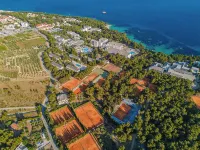 Bluesun Hotel Borak Hotels in Bol
