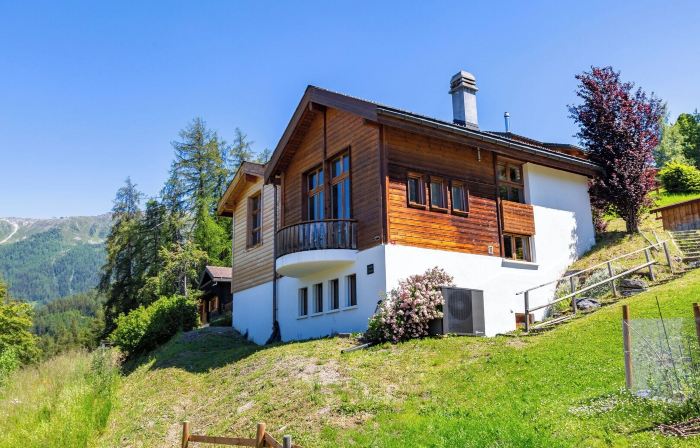 Chalet Lupin