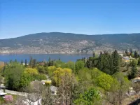 1 Bedroom  Executive Lakeview Suite