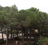 T2 IN ARGELES BEACH - 100m FROM THE BEACH - Homestays