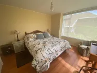 Departamento Céntrico, a Pasos de la Playa, Trae tu Mascota!