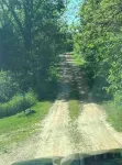 Country cabin life