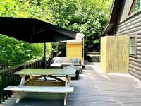 Catawba Falls Cabin! Renovated, Luxury, Outdoor Sauna/Shower, Starlink