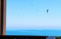 Central seaside apartment