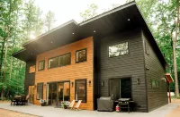 Modern mountain- inspired monoslope home located in the beautiful Northwoods