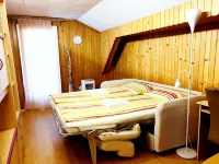 Natalya's attic - comfortable and cozy attic apartment Hotels in Moesa District