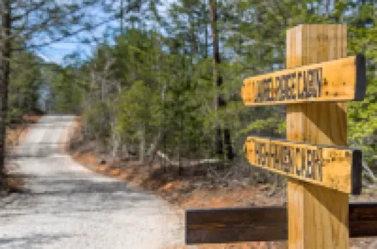 Romantic Treehouse with Hot Tub, Waterfall, Hiking, Swinging Bridge & Goats