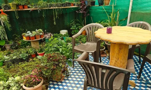 Amaira Resort & Farms - Mirik, West Bengal