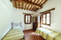 Le Radici - Olivo - Relax in Umbria, the heart of Italy