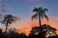 The Sea Scallop Minutes to Madeira Beach Hotels in Bay Pines