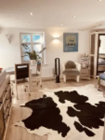 Stilvolles Appartment in Durbach - Wandern - 30 min Strasbourg- Hundefreundlich