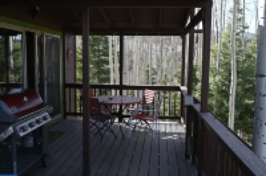 Stunning 4-bedroom cabin in Angel Fire, close to skiing and golf