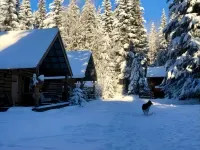 Lynx, wildlife, custom log cabin . private lake access, salmon stream kayaking, Hotels in Moose Pass