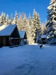 林克斯野生動物主題定製原木小屋，私人湖泊通道，鮭魚溪皮划艇