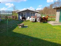 Sonnenscheinhof Alpakas, Alpaka Hütte