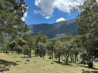 Glamping MORET Alpine Cabin M2 from 2 to 6 people - pet friendly