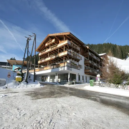 Chalet in Mittersill near Ski Slopes