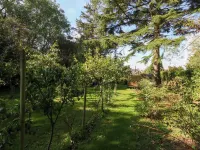 Little Timbers Hotels in Hyde