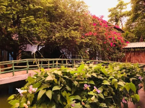Hungry Lion Sigiriya Отели рядом с достопримечательностью «Сигирия»