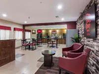 Red Roof Inn Conroe North - Willis Hotels in Willis