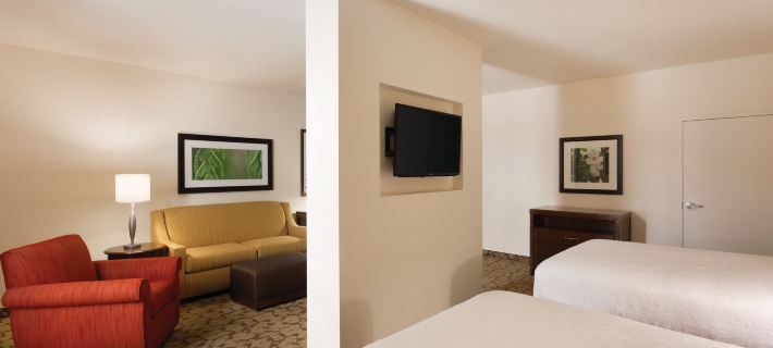 Hilton Garden Inn Rochester-Downtown Hotels in Monroe County