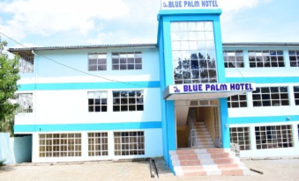 Blue Palm Hotel