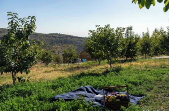 ซิลเวอร์ วัลเลย์ โรงแรมใน