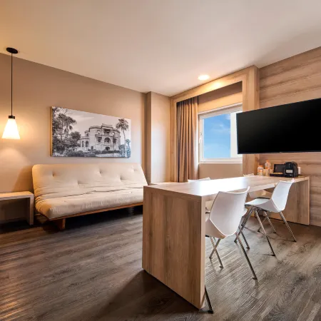 Ibis Torreón