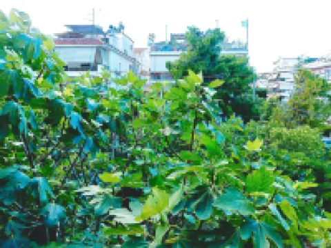 Candy Studio Apt Marousi Hotels near Athens Olympic Stadium