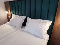 Pensiunea Rasnov Hotels near Ruia