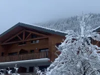法國阿爾卑斯山帶陽台的寬敞公寓