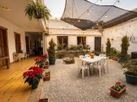 Casa de Las Flores Hotels near FREE FIRE