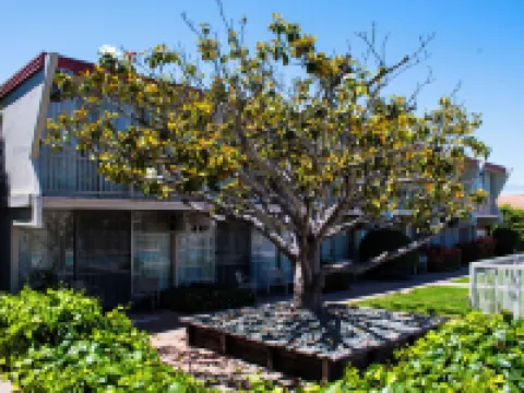 Travelodge by Wyndham Monterey Bay Hotels near Monterey Bay Aquarium