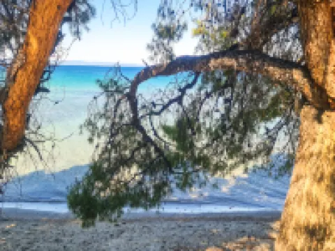 Luxury Apartment in Akti Elias Sithonia Hotels in Elia
