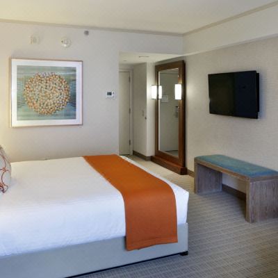Deluxe King Room Seaport Hotel Boston Promo Code