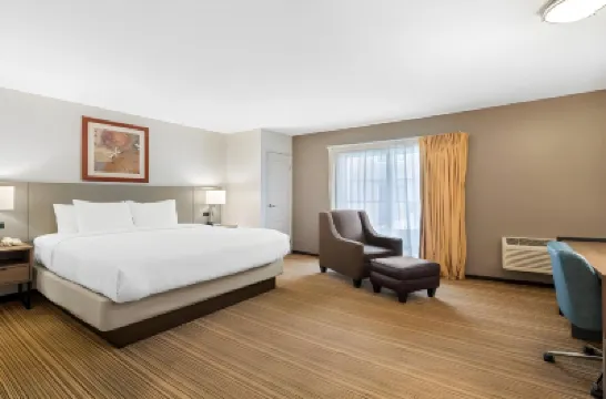 Comfort Inn Cockatoo Near LAX Airport Hotel a 