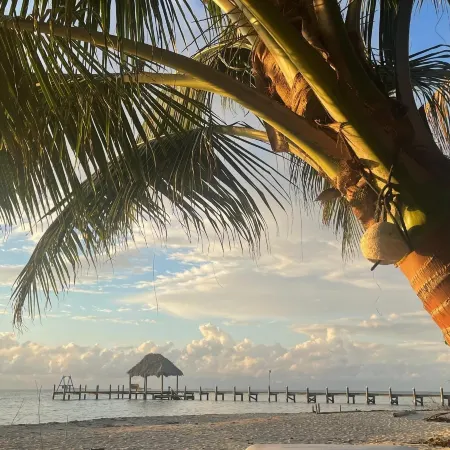 Treetop Beachfront Cabana