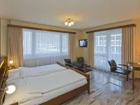 Hotel Europe Brig Hotels in Brig