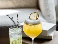 نوفوتيل ميجيف مونت بلانك - بار