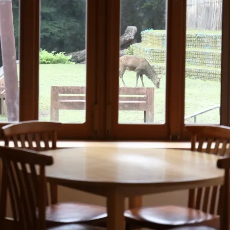 Mountain Home Lodge in Deer Park