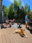 White Mountain and Foliage Basecamp • 4Br Sleeps 8 • AC & Walk to Downtown - 民泊